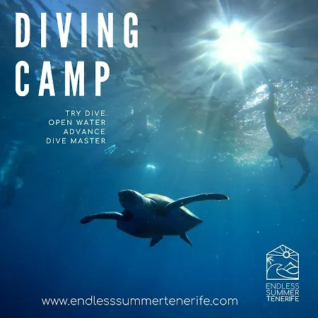 Endless Summer House (adults Only) Vandrarhem Costa Adeje (Tenerife)
